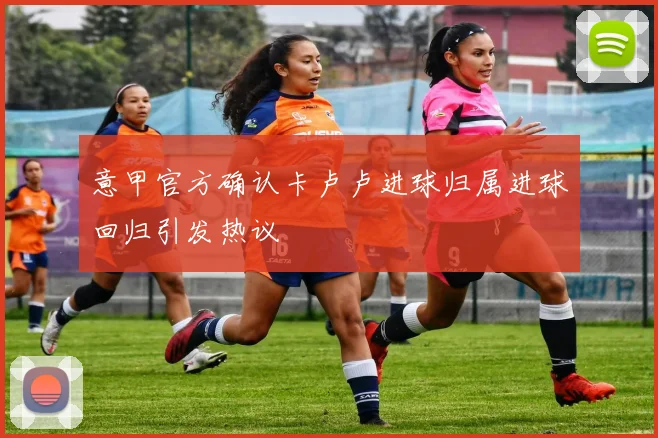 意甲官方确认卡卢卢进球归属进球回归引发热议