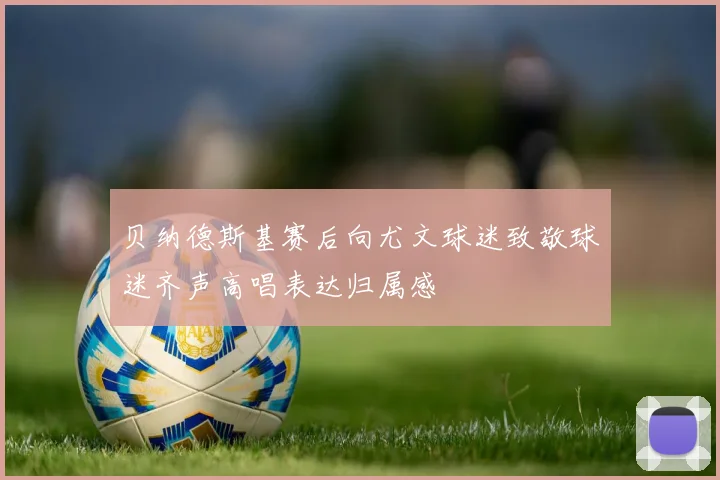 贝纳德斯基赛后向尤文球迷致敬球迷齐声高唱表达归属感