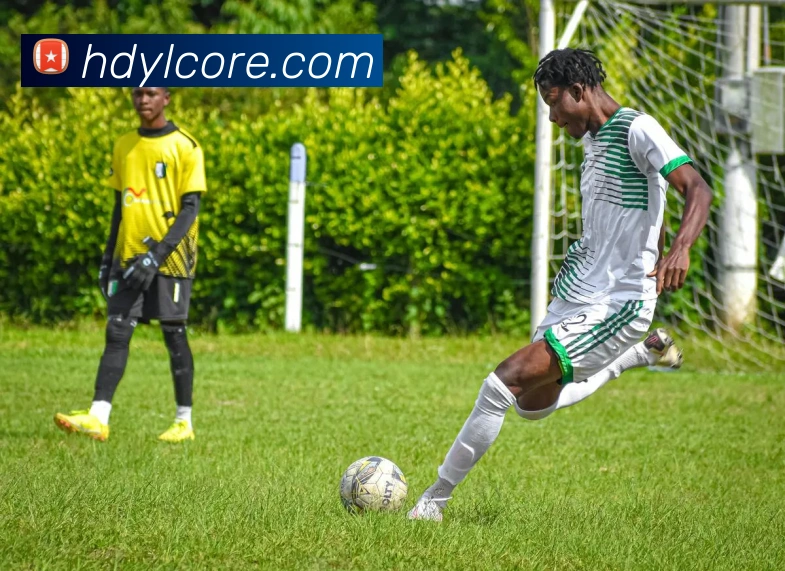 恒达娱乐平台生态图